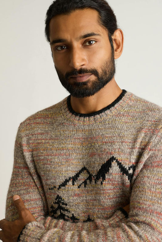 Bear Stroll Sweater