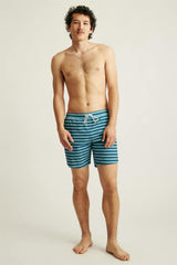 teal theo stripe